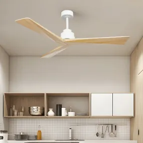 Asaye | Standard Ceiling Fan