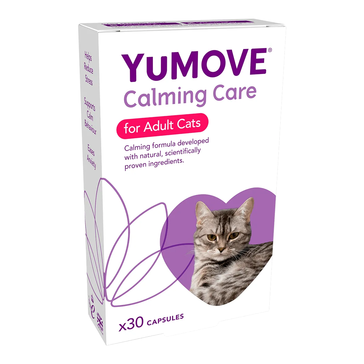 Calming Care for Cats