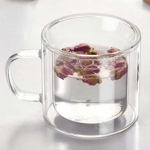 Double Glass Colored Mug