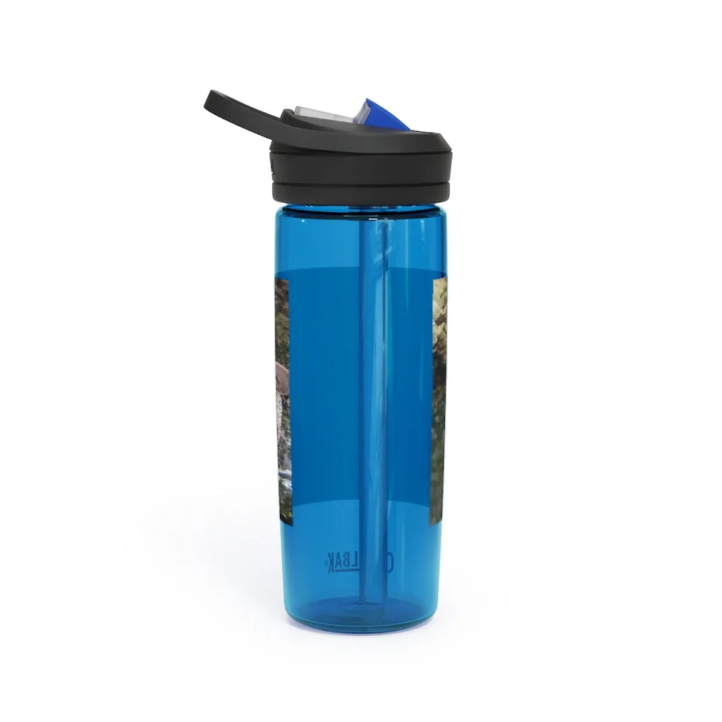 Duck CamelBak Eddy®  Water Bottle, 20oz\25oz