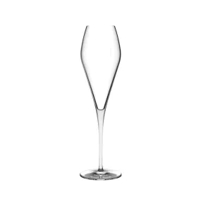 Fantasy Champagne Glasses (Set of 2)