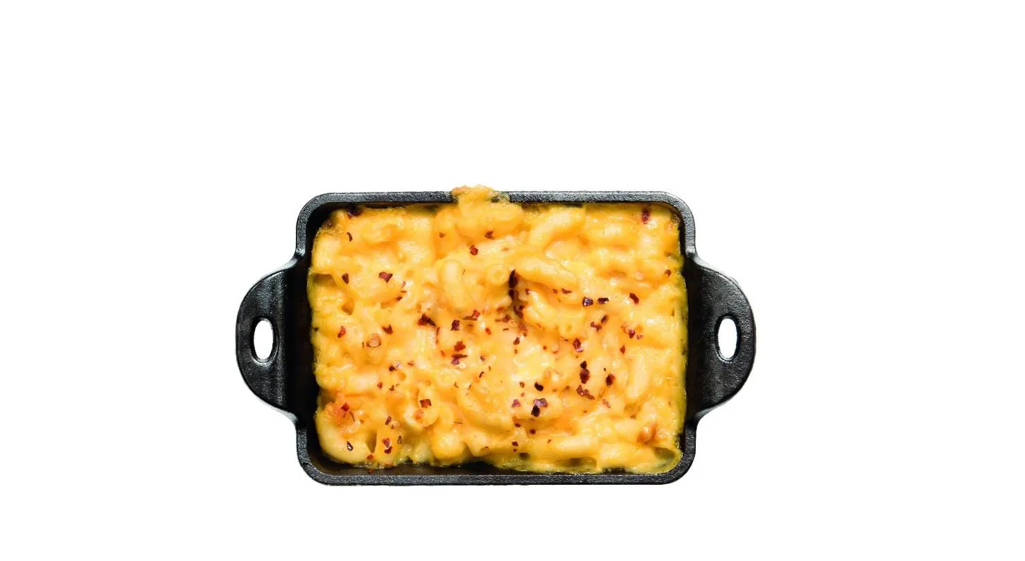 Lodge Pro Logic Cast Iron Mini Rectangular Au Gratin Pan