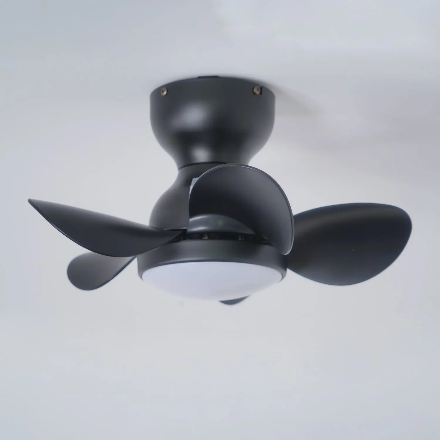 Noosa 18" Ceiling Fan Light