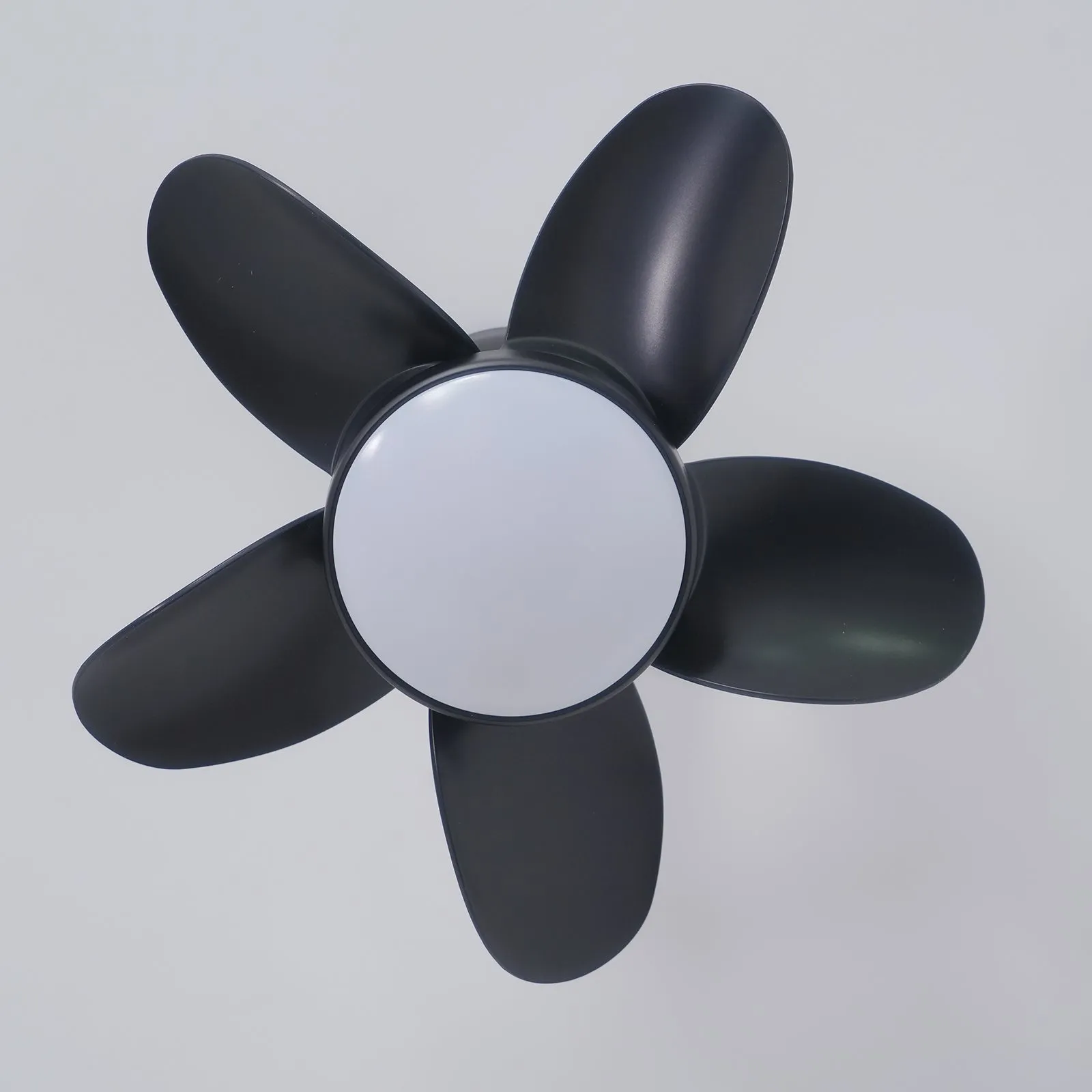 Noosa 18" Ceiling Fan Light