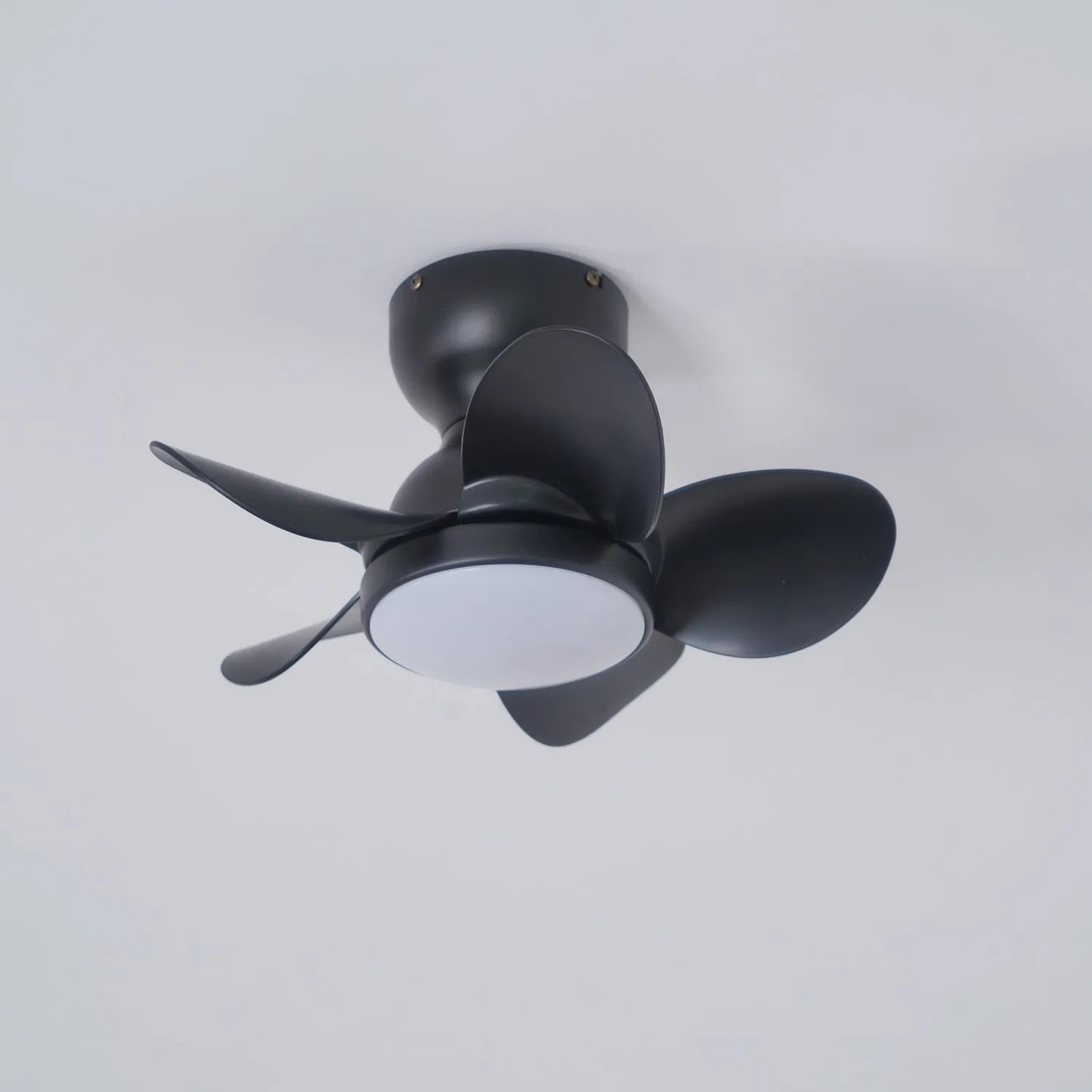 Noosa 18" Ceiling Fan Light