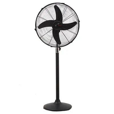 Royal Magnum Black Pedestal Fan