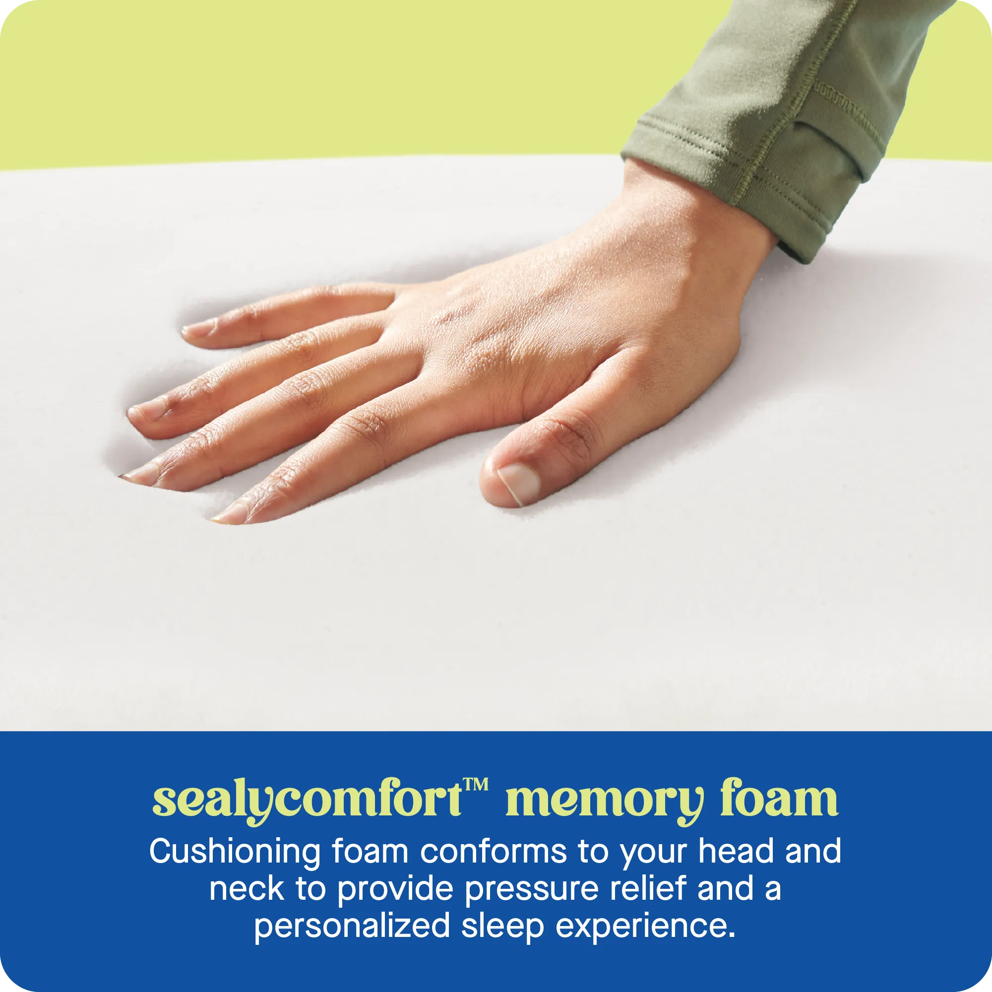 Sealy® Dreamlife™ Memory Foam Contour Pillow - Standard Size