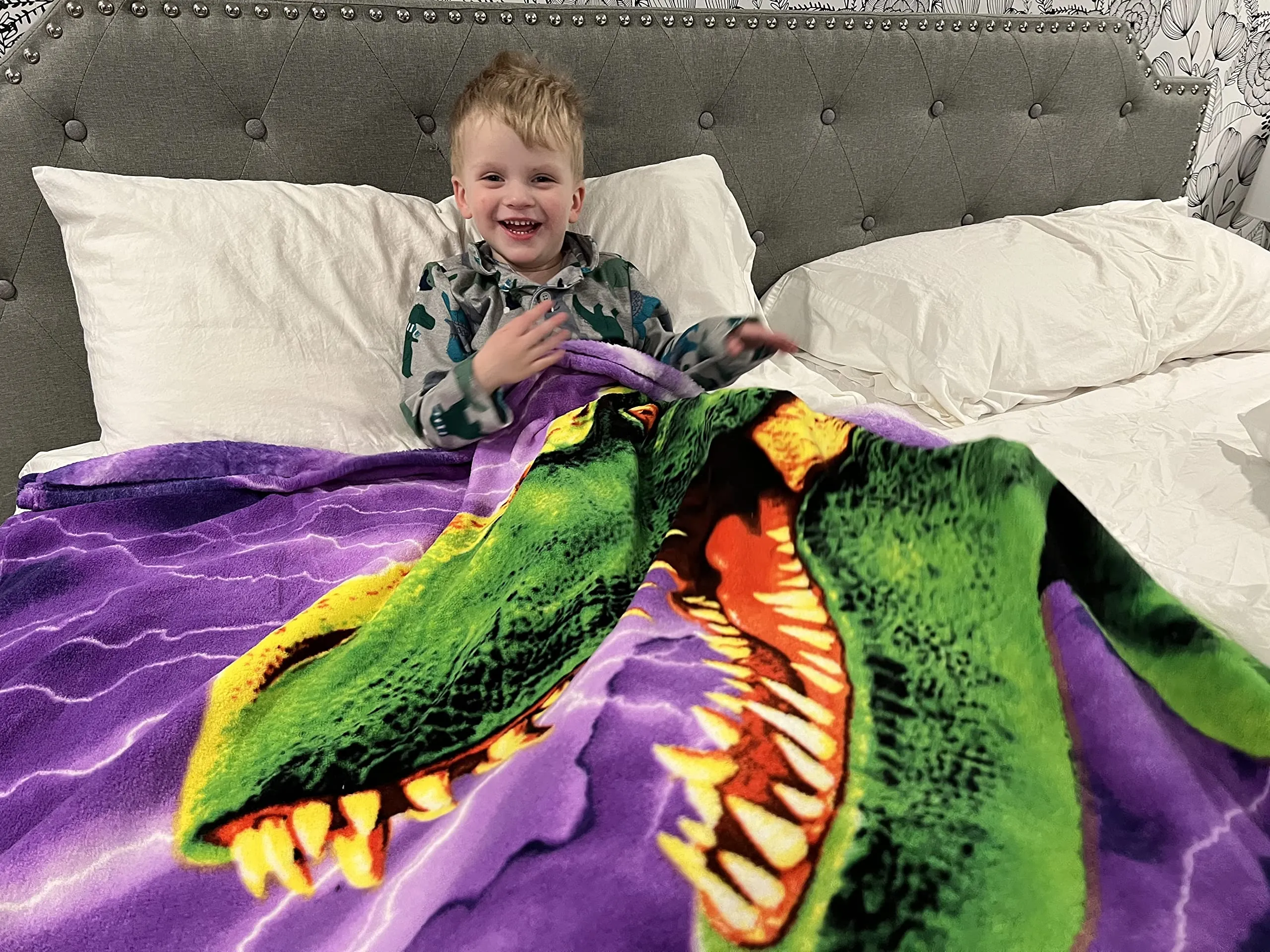 TRex Super Soft Plush Fleece Throw Blanket